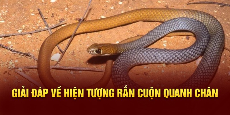 Có những yếu tố nào khiến bạn mộng thấy hiện tượng này