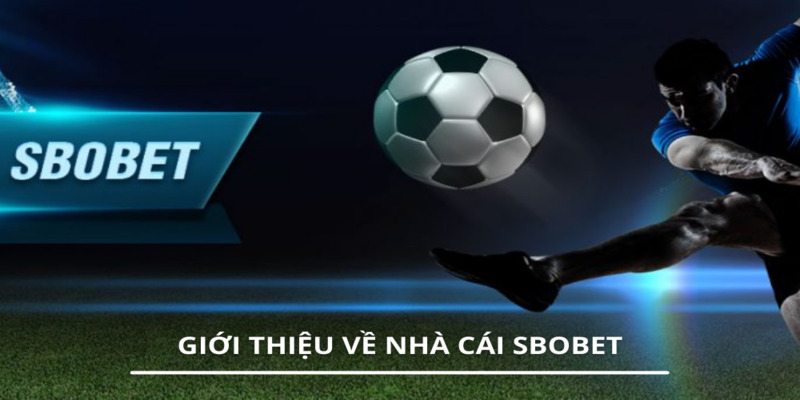 Sbobet thể thao là sảnh cược uy tín, quen thuộc với nhiều bet thủ