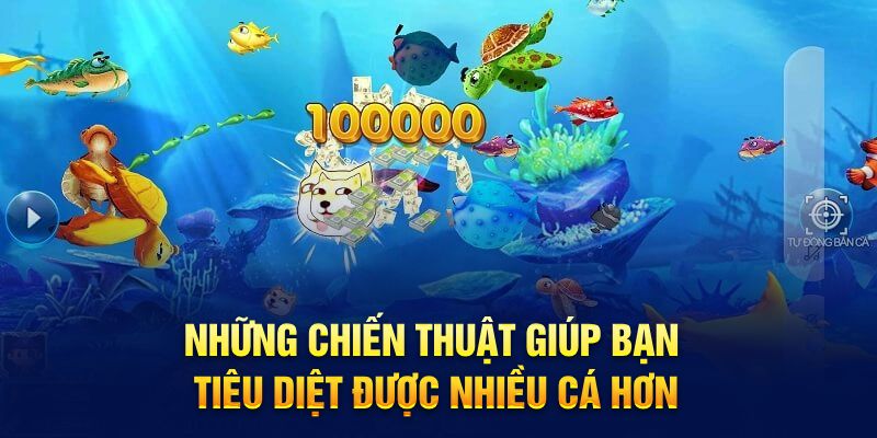 Những chiến thuật giúp bạn tiêu diệt được nhiều cá hơn